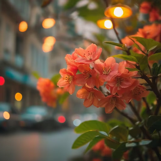 Urban Bloom