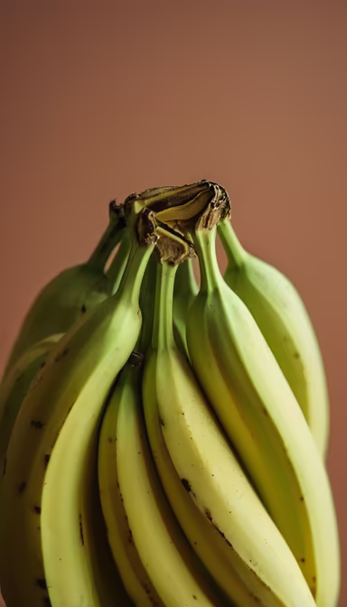 Bunch of Bananas Bunch of Bananas