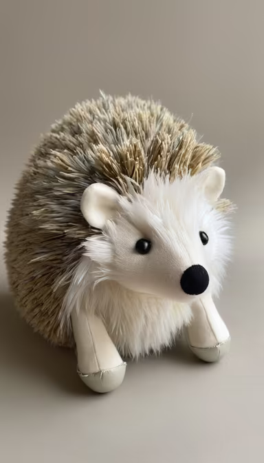 Adorable Hedgehog Friend Adorable Hedgehog Friend