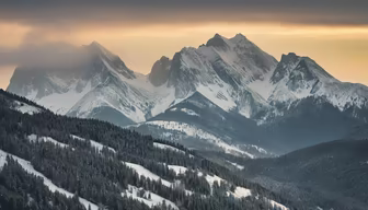 Winter Majesty Winter Majesty