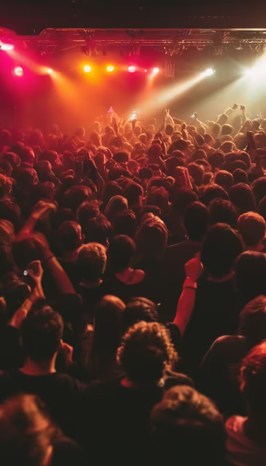 Concert Vibes Concert Vibes