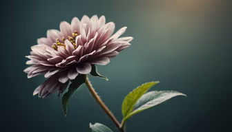 Delicate Bloom