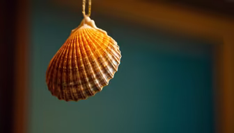Seashell Ornament Seashell Ornament