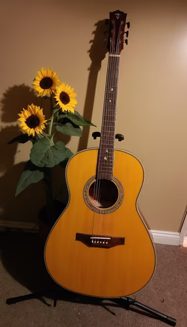 Musical Sunshine
