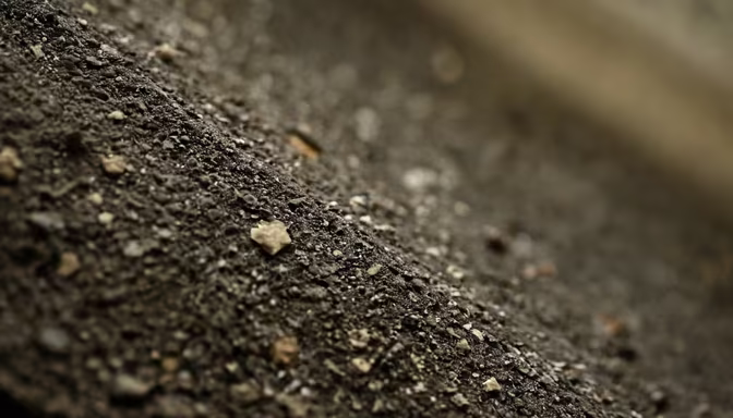 Earth's Texture