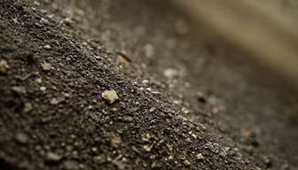 Earth's Texture