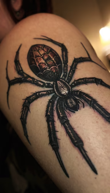 Spider Tattoo Spider Tattoo
