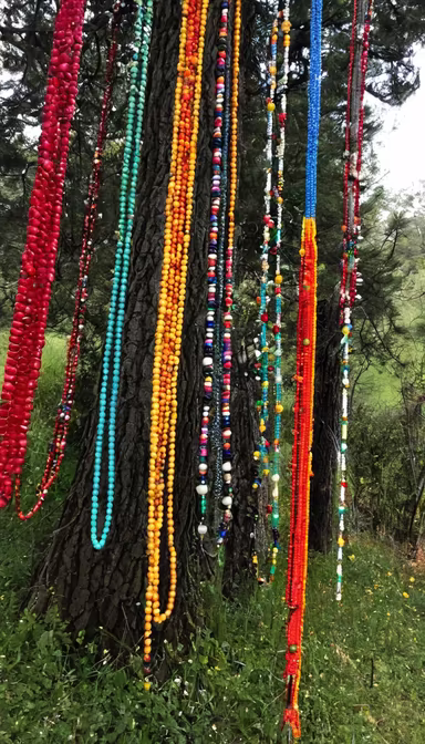 Tree Adorned Tree Adorned