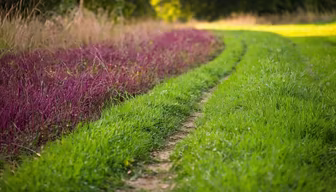 Nature's Palette Nature's Palette