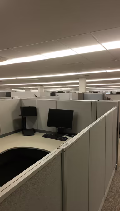 Office Life