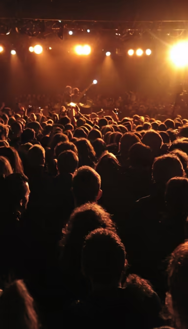 Concert Crowd Concert Crowd