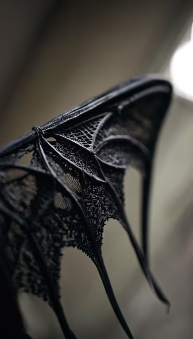 Dark Elegance Dark Elegance