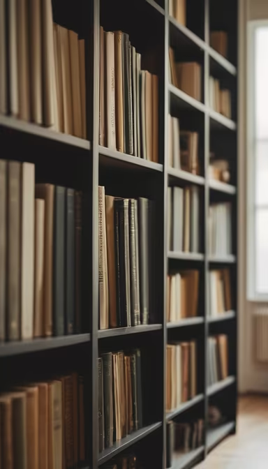Library Shelves Library Shelves