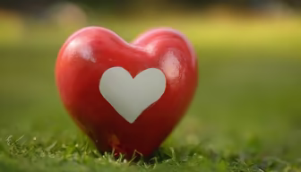 Heart in the Grass Heart in the Grass