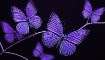 Purple Butterflies