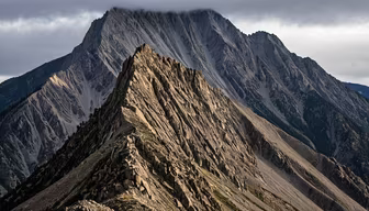 Mountain Majesty