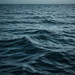 Ocean's Embrace Ocean's Embrace