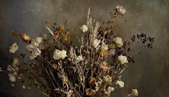 Dried Beauty Dried Beauty