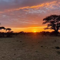 African Sunset African Sunset