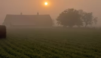 Misty Morning Farm