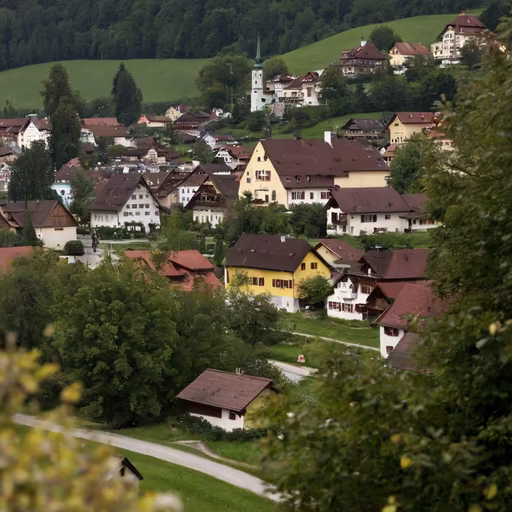 Alpine Village Charm