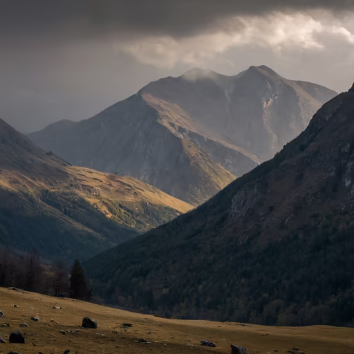 Mountain Majesty