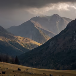 Mountain Majesty