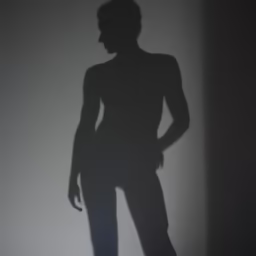 Shadow Silhouette