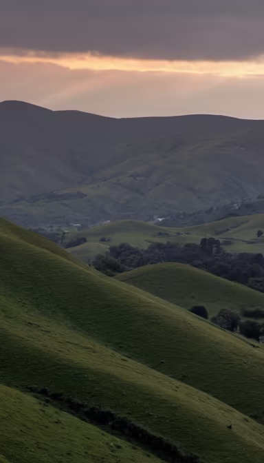 Rolling Hills
