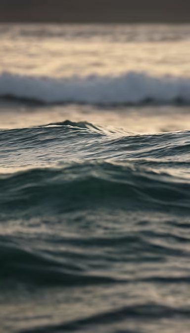 Ocean's Embrace
