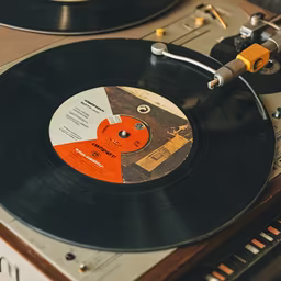 Vinyl Vibes Vinyl Vibes