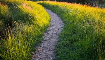 Path to Serenity