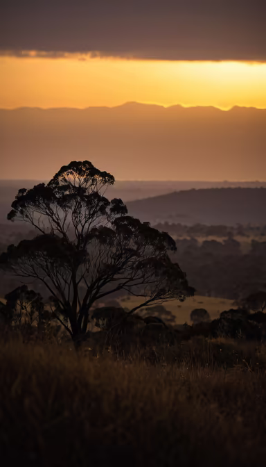 Golden Hour Vista