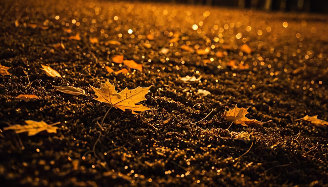Autumn's Golden Touch