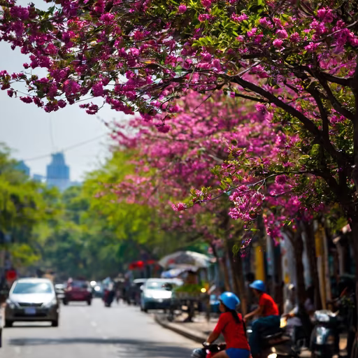 Spring in the City