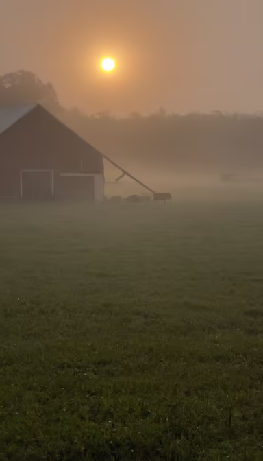 Morning Serenity