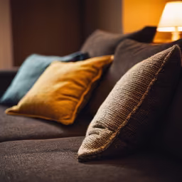 Cozy Comfort Cozy Comfort