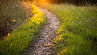 Golden Path Golden Path