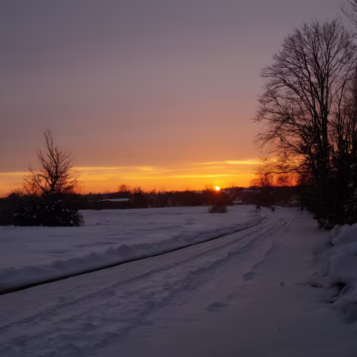 Winter's Embrace
