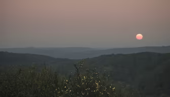Sunset Over the Hills