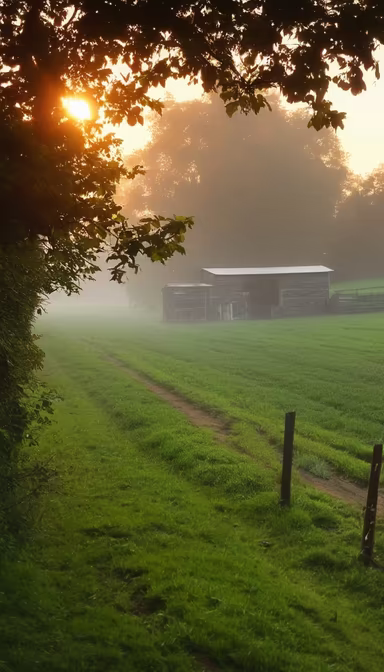 Morning Glow