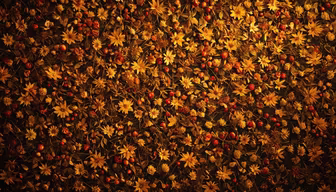 Autumnal Abundance