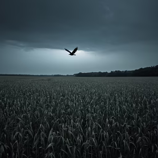 Silent Flight