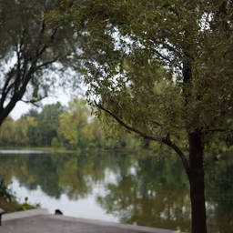 Lakeside Serenity