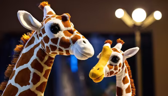 Giraffe Love