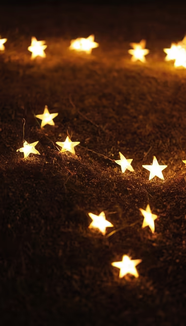 Starry Nights Starry Nights