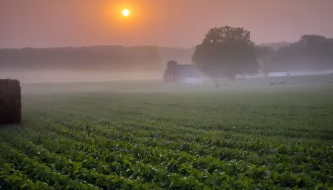 Rural Sunrise
