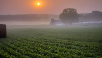 Rural Sunrise Rural Sunrise