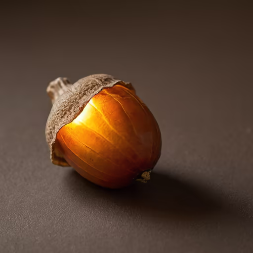 Autumn's Jewel