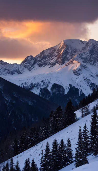 Winter Majesty Winter Majesty
